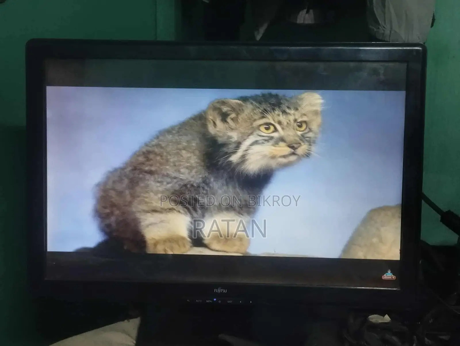 Fujitsu 22" monitor