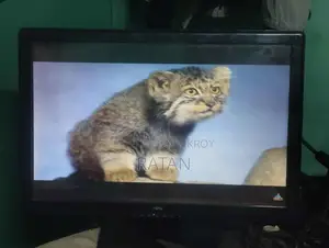 Fujitsu 22" monitor