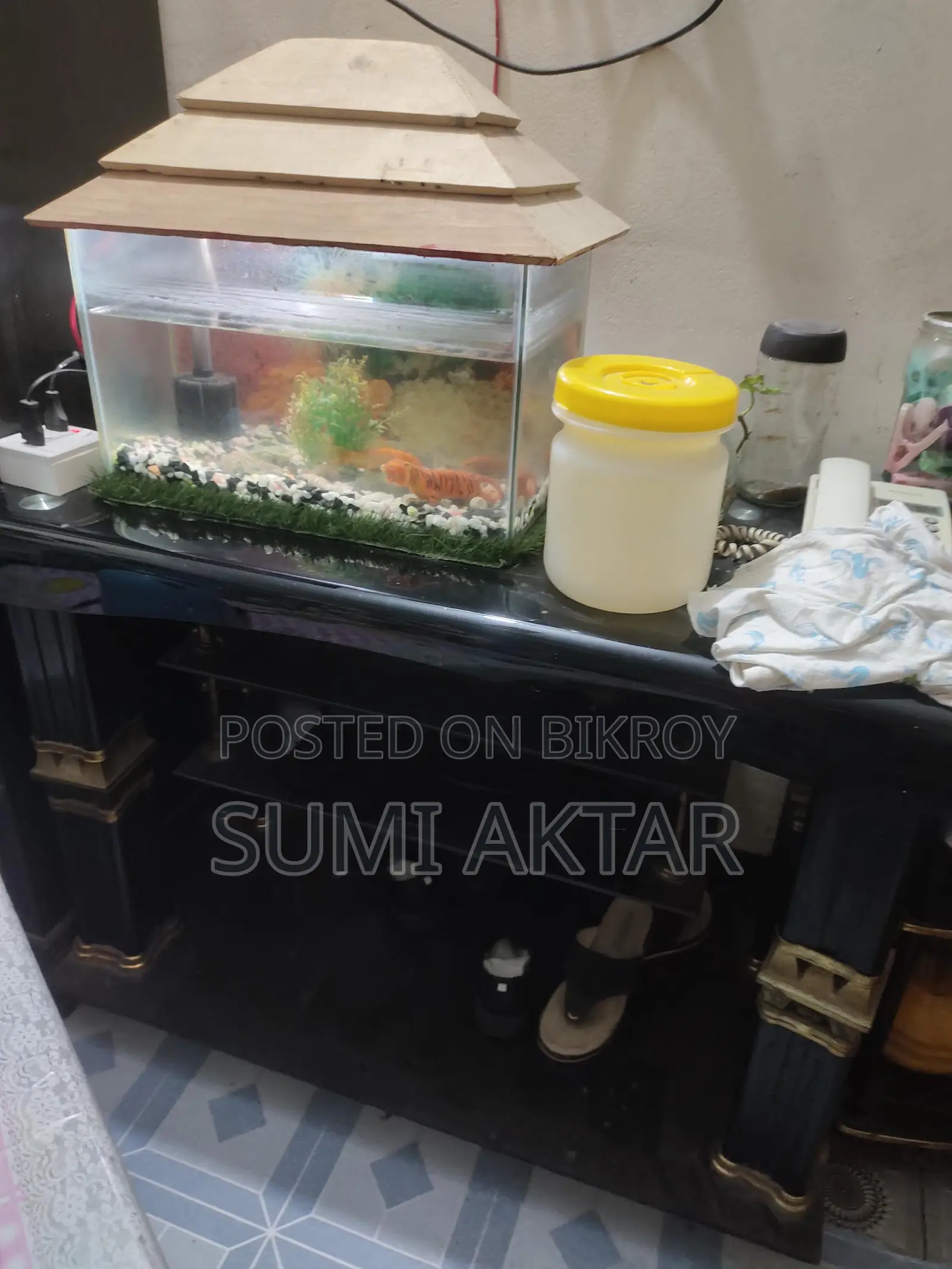 Aquarium For Sale