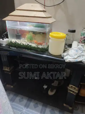 Aquarium For Sale