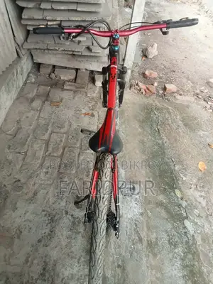 Stand cycle