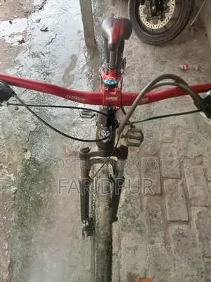 Stand cycle
