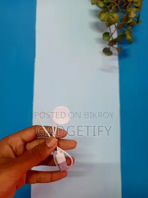 Watch charger