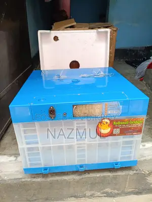 Incubator China