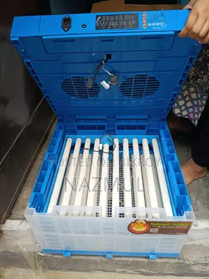 Incubator China