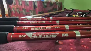 হুইল বরশি ১০ ফিট