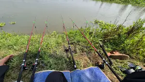 Wheel Fishing Rod 10 Feet
