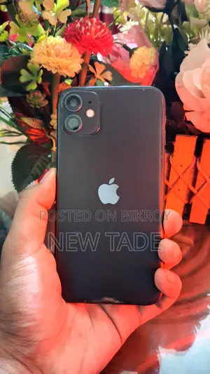 Apple iPhone 11 (Used)