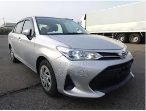 Toyota Axio EX 2021