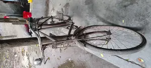 This bicycle is for sale