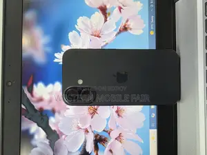 Apple iPhone 16 BH 100% 128 GB (Used)