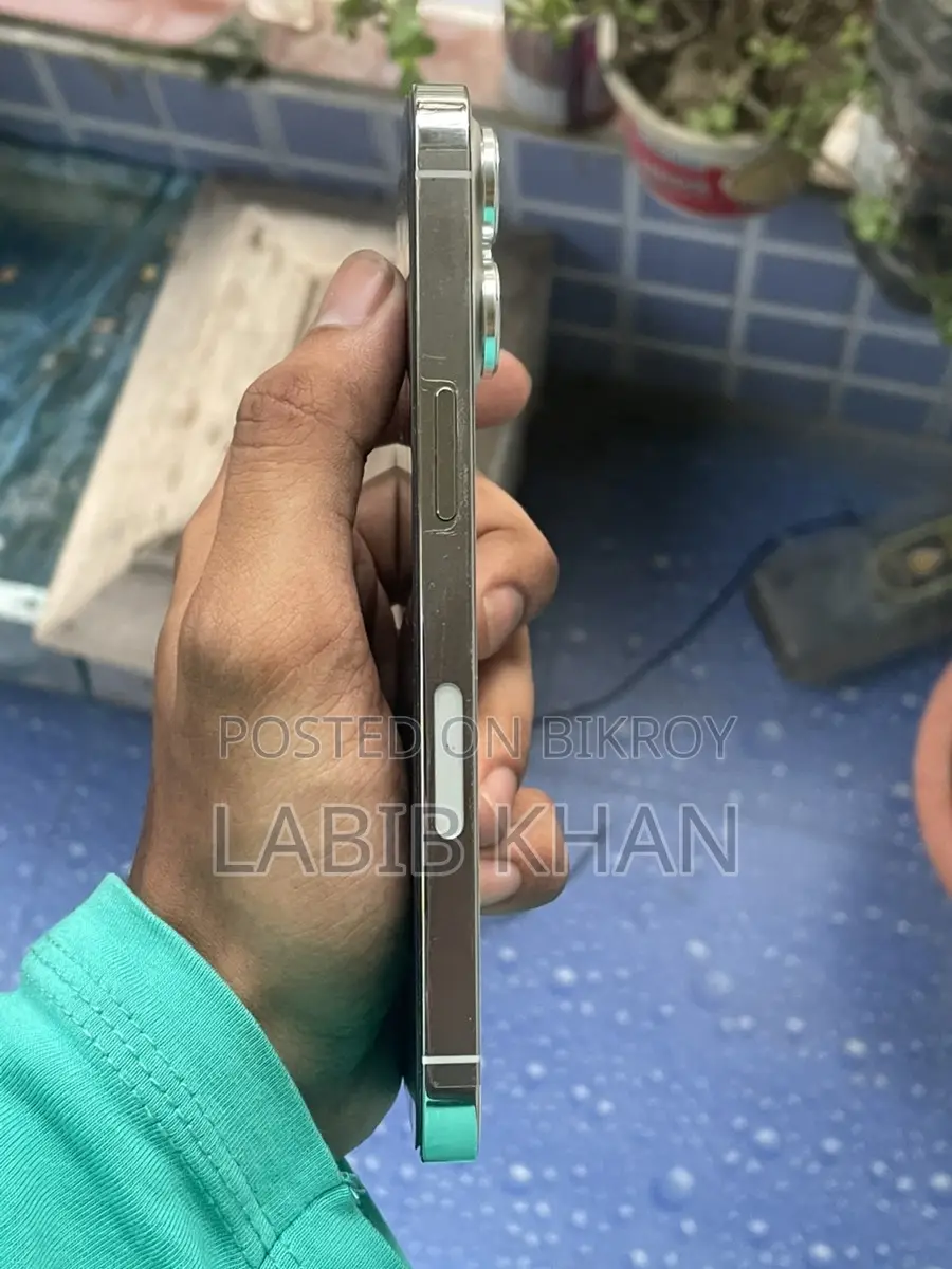 Apple iPhone 13 Pro (Used)