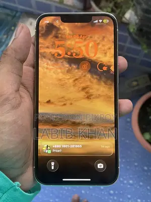 Apple iPhone 13 Pro (Used)