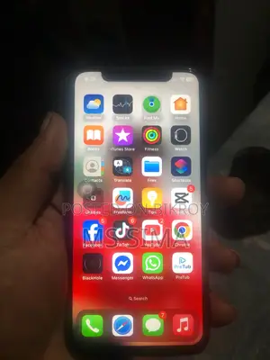 Apple iPhone X (Used)