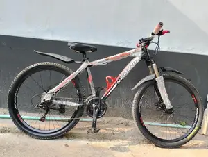 Phoenix 26" 2026