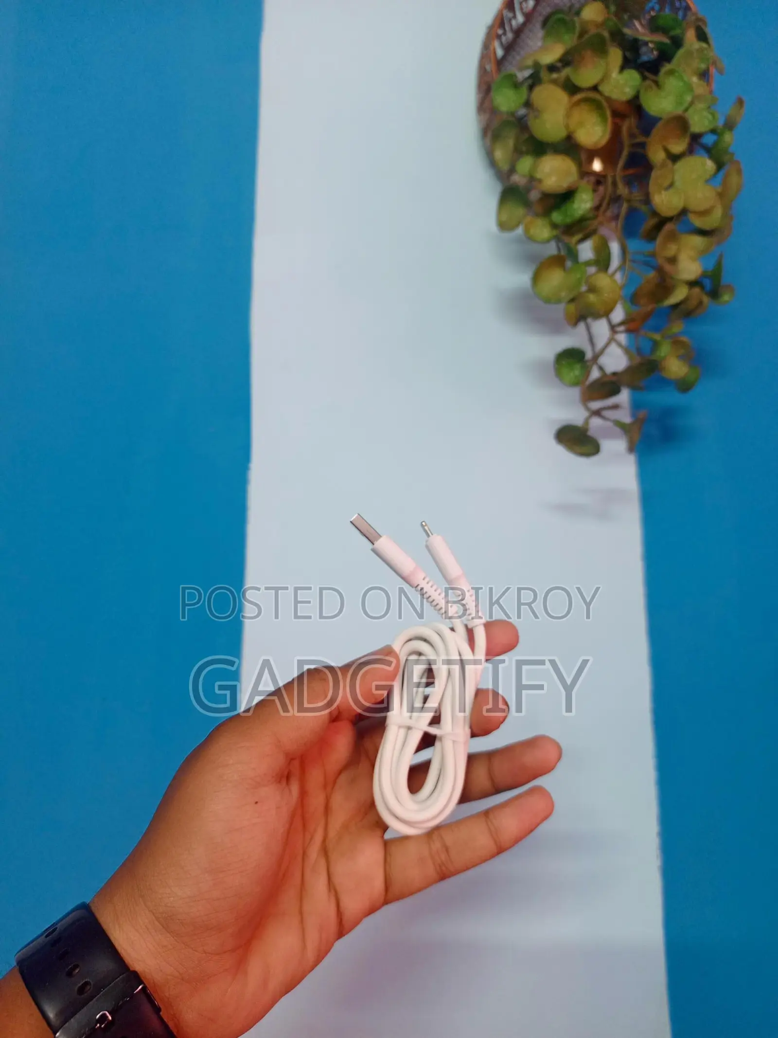 Lightning Cable