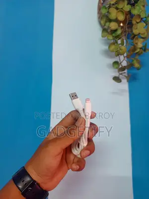 Lightning Cable