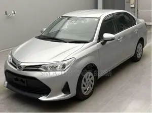 Toyota Axio Non Hybrid EX Silver 2021