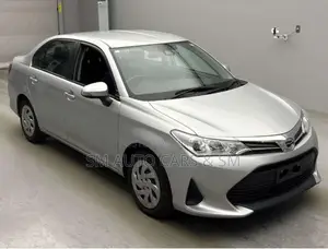 Toyota Axio Non Hybrid EX Silver 2021