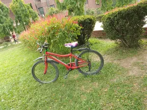 Bicycle for Sale