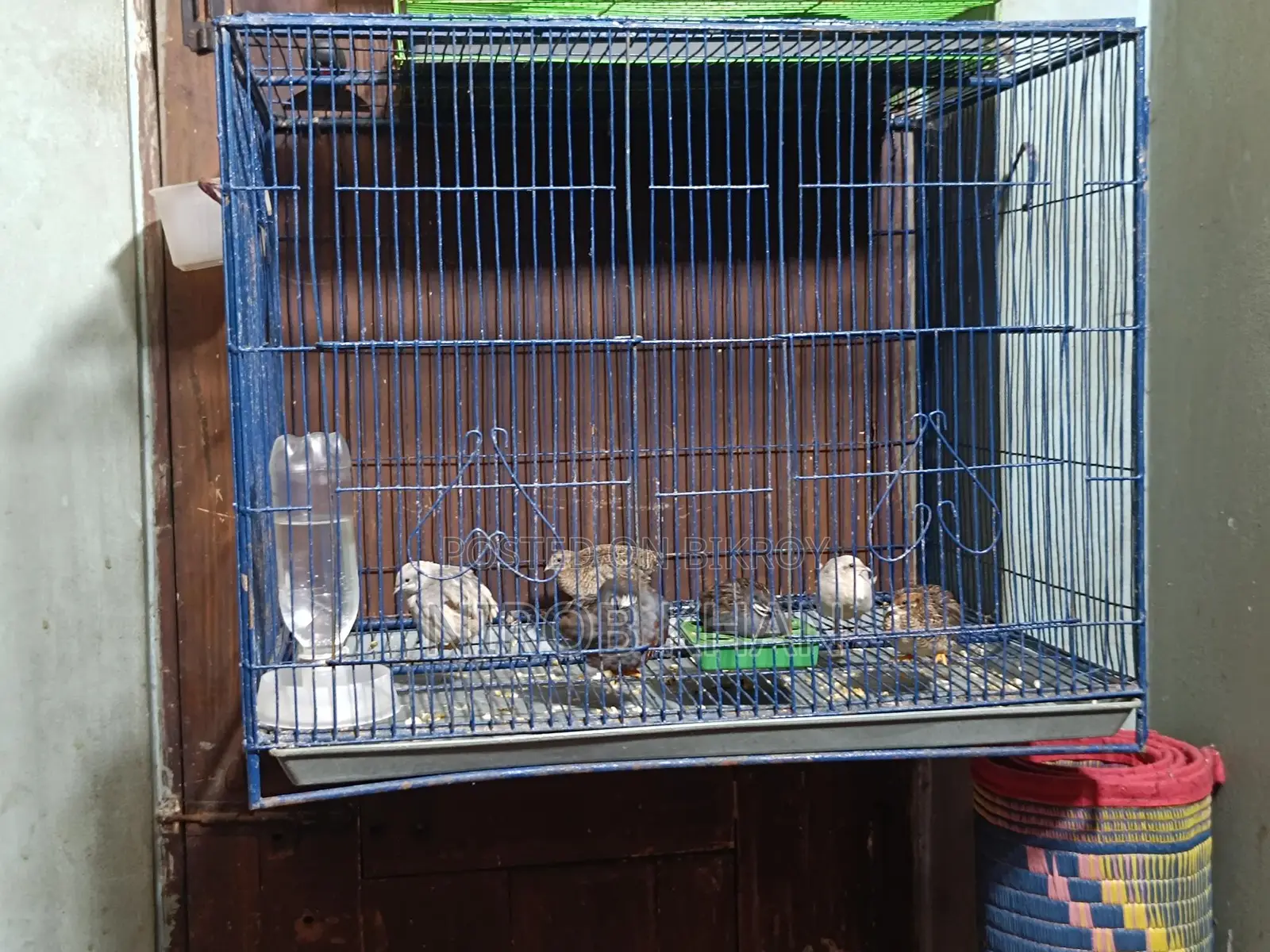 18-24 Size Bird Cage for Sale