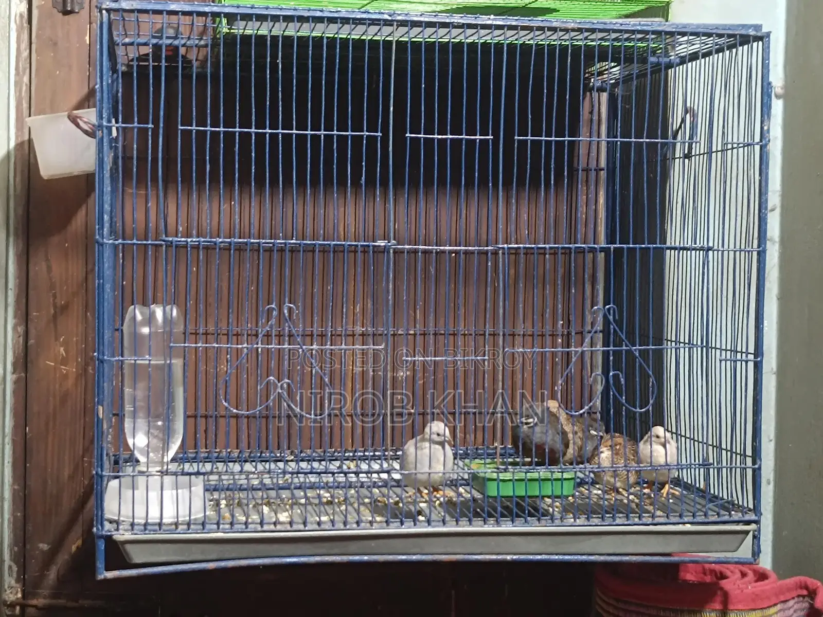 18-24 Size Bird Cage for Sale
