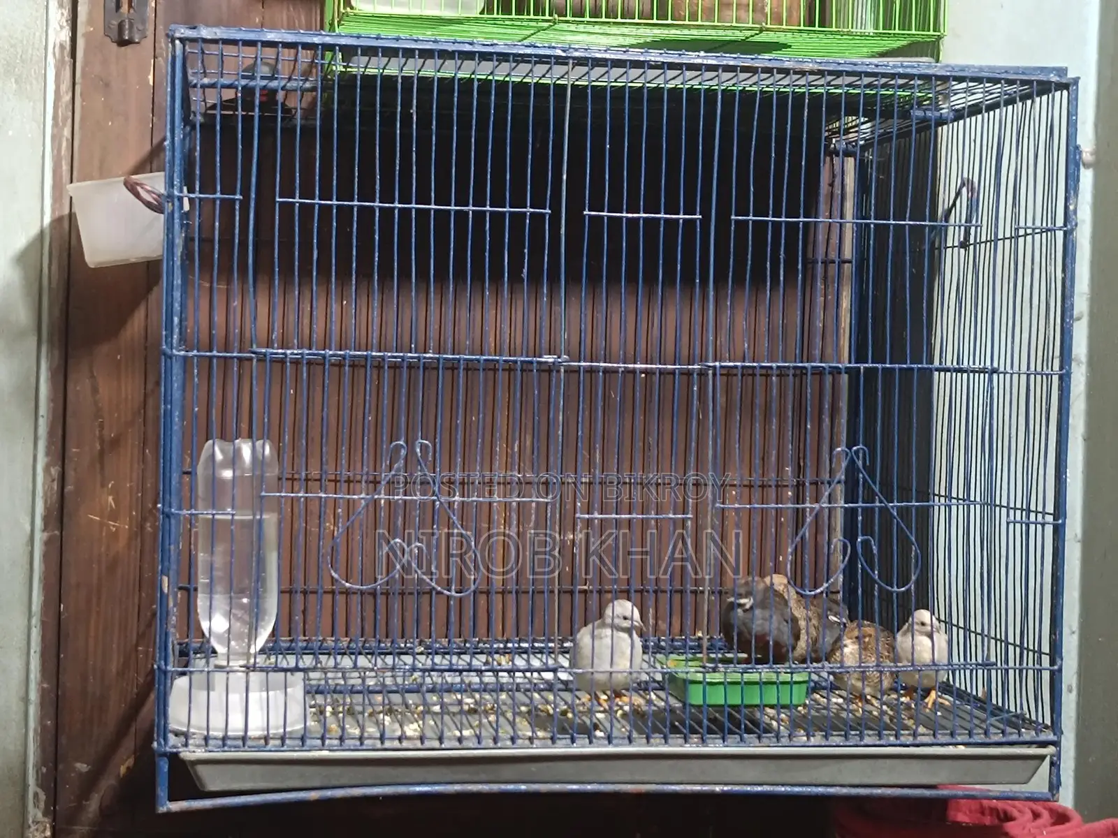 18-24 Size Bird Cage for Sale