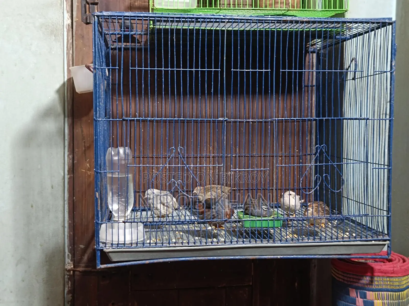 18-24 Size Bird Cage for Sale