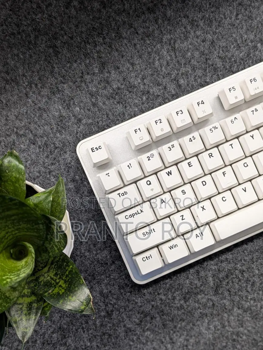 Dareu EK 807G