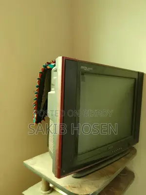 China TV 21in C