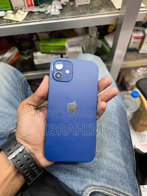 Apple iPhone 12 (Used)