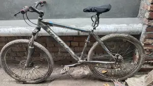Bicycle in Perfect Condition