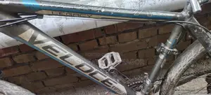 Bicycle in Perfect Condition