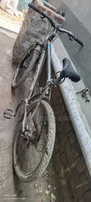 Bicycle in Perfect Condition