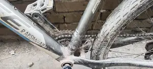 Bicycle in Perfect Condition