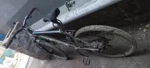 Bicycle in Perfect Condition