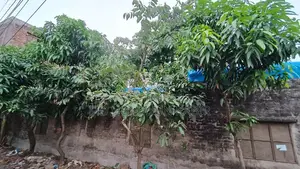 পিসি কালচার হাউজিং সোসাইটি, গাবতলী, মিরপুর, ঢাকায় বাড়ি বিক্রয় হবে