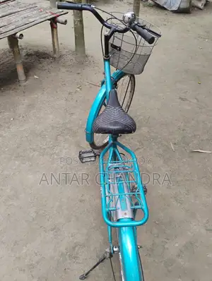Indian Ladies Cycle