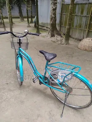 Indian Ladies Cycle