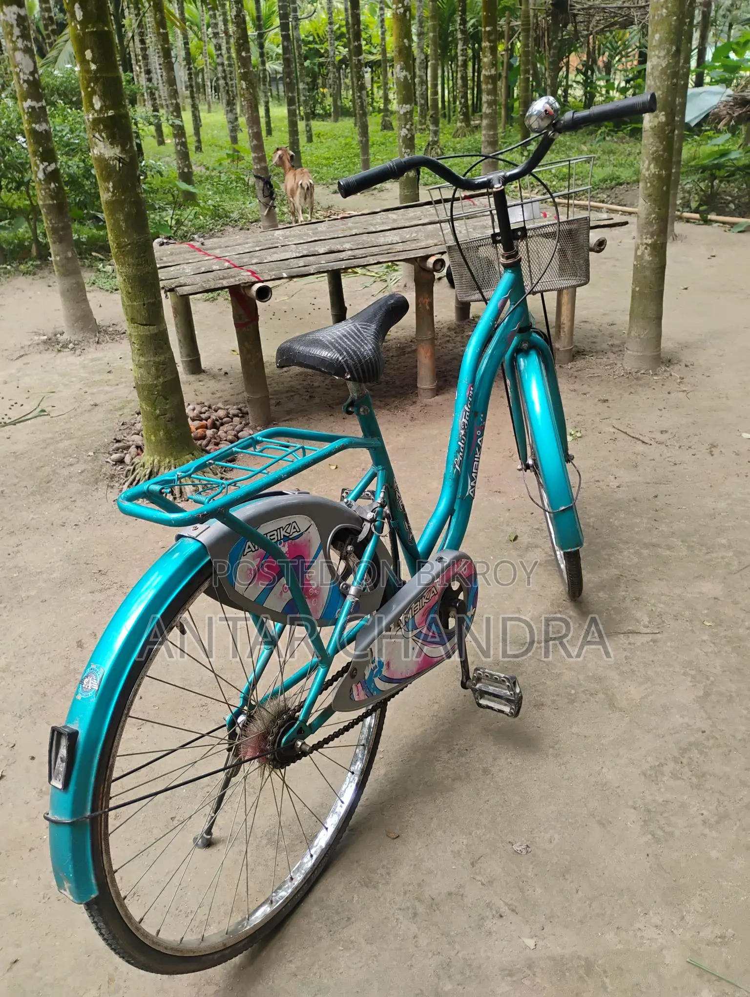 Indian Ladies Cycle