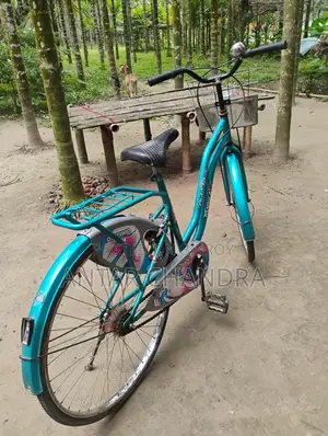 Indian Ladies Cycle