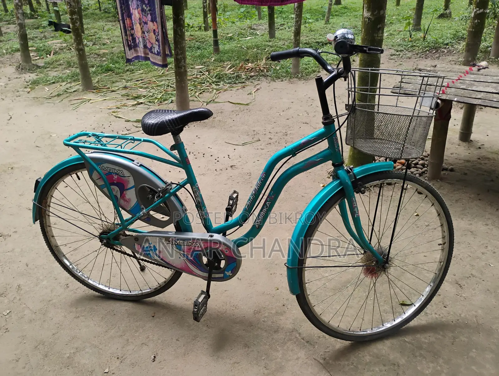 Indian Ladies Cycle