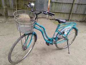 Indian Ladies Cycle