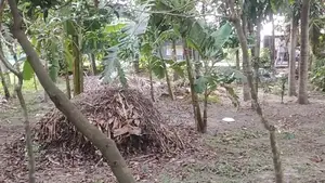 Land for sale next to a 20-foot road