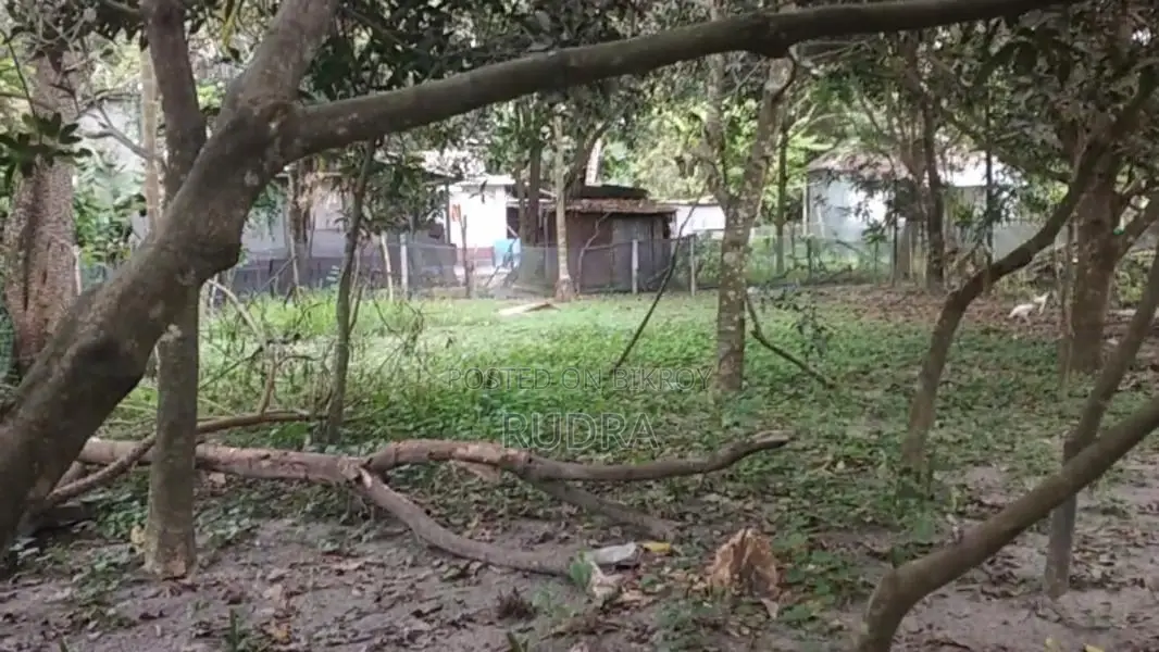 ২০ ফিট রাস্তার পাশে জমি বিক্রি হবে
