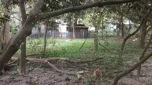 ২০ ফিট রাস্তার পাশে জমি বিক্রি হবে
