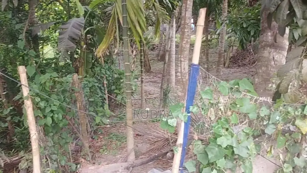 ২০ ফিট রাস্তার পাশে জমি বিক্রি হবে