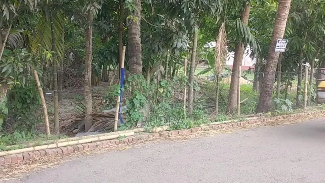 ২০ ফিট রাস্তার পাশে জমি বিক্রি হবে