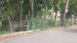 ২০ ফিট রাস্তার পাশে জমি বিক্রি হবে