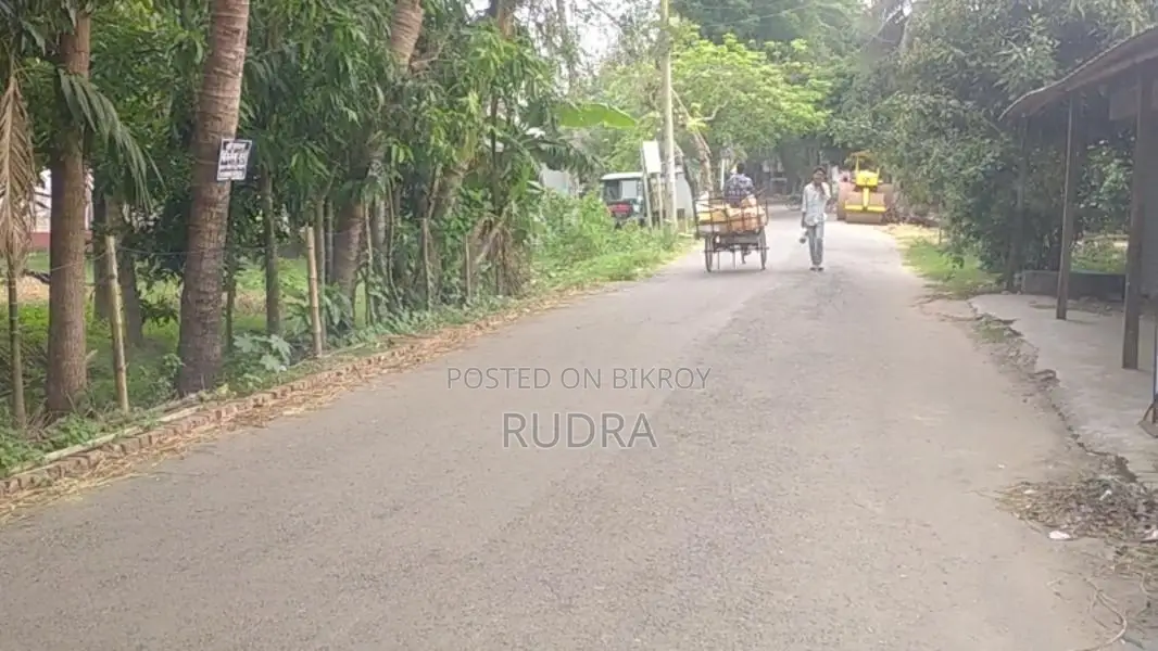 ২০ ফিট রাস্তার পাশে জমি বিক্রি হবে
